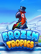 คาสิโนออนไลน์ฟรี: ทดลองเล่นยังไงให้สนุกเวอร์!